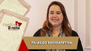 Explica Direito Filiação Socioafetiva  2019 [upl. by Airt378]