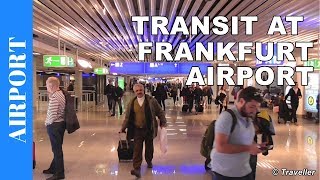 TRANSIT WALK AT FRANKFURT Airport FRA Terminal 1  Connection Flight Transfer Arriving amp Departing [upl. by Agnes107]